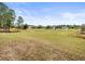 Large, grass-filled backyard, with some trees and neighboring houses at 10188 Whisper Ridge Trail Trl, Weeki Wachee, FL 34613