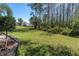 Lush backyard, framed by a wooden border and mature trees, offers privacy and a serene outdoor space at 11700 Leda Ln, New Port Richey, FL 34654