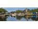A park scene featuring a river, bridge, and a distant Ferris wheel at 5748 Massachusetts Ave, New Port Richey, FL 34652