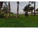 Expansive backyard and golf course with lush green grass, trees and palmettos in a sunny day setting at 6470 Summit View Dr, Brooksville, FL 34601