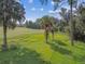 Lush green backyard featuring mature trees, a well-maintained lawn and golf course views at 6470 Summit View Dr, Brooksville, FL 34601
