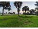 Expansive backyard and golf course with lush green grass, trees and palmettos in a sunny day setting at 6470 Summit View Dr, Brooksville, FL 34601
