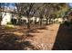 A community backyard with mature trees providing shade in a tranquil setting at 10936 Keys Gate Dr, Riverview, FL 33579