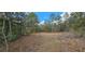 A spacious vacant land lot featuring mature trees and native vegetation with blue skies above at 11617 Duda Rd, Hudson, FL 34667