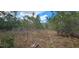 A spacious vacant land lot featuring mature trees and native vegetation at 11617 Duda Rd, Hudson, FL 34667