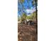 Exterior of an old outbuilding with a rusty metal roof under trees and a blue sky backdrop at 11617 Duda Rd, Hudson, FL 34667