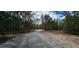 Cracked and aged driveway surrounded by trees and ground foliage at 11617 Duda Rd, Hudson, FL 34667