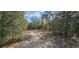 Image of an area of potential homesite that is wooded and underbrush has been removed in preparation for construction at 11617 Duda Rd, Hudson, FL 34667
