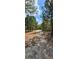 Image of an area of potential homesite that is wooded and underbrush has been removed in preparation for construction at 11617 Duda Rd, Hudson, FL 34667