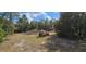 Image of an area of potential homesite that is wooded and underbrush has been removed in preparation for construction at 11617 Duda Rd, Hudson, FL 34667