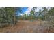 Image of an area of potential homesite that is wooded and underbrush has been removed in preparation for construction at 11617 Duda Rd, Hudson, FL 34667