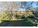 Backyard of home showing a grassy area, a wooded area, and a chain link fence in the distance at 12724 Circle Lake Dr, Hudson, FL 34669