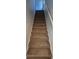 Carpeted stairs leading to the upper level at 15772 Stable Run Dr, Spring Hill, FL 34610
