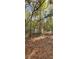 Simple outbuilding surrounded by leafy groundcover, showcasing outdoor storage in a natural setting at 17932 Wendy Sue Ave, Hudson, FL 34667