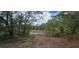 Scenic view of a pond surrounded by trees and natural landscape at 17932 Wendy Sue Ave, Hudson, FL 34667