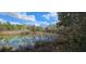A view of the property pond covered in lily pads and reflections from the sunny sky at 17932 Wendy Sue Ave, Hudson, FL 34667