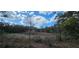 Scenic view of a pond with lily pads, surrounded by lush trees, creating a tranquil atmosphere at 17932 Wendy Sue Ave, Hudson, FL 34667
