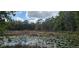 Scenic view of a pond covered in lily pads, reflecting the sky, surrounded by trees and vegetation at 17932 Wendy Sue Ave, Hudson, FL 34667