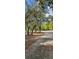 Scenic property with a paved driveway lined by mature shade trees and natural foliage at 17932 Wendy Sue Ave, Hudson, FL 34667