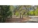 Landscaped property featuring mature trees and winding driveways, providing privacy and charm at 17932 Wendy Sue Ave, Hudson, FL 34667