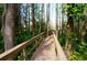 Scenic wooden boardwalk winding through a beautiful natural landscape at 20857 Haulover Cv # B15, Lutz, FL 33558