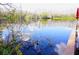 Scenic view of the lake reflecting the sky and trees, with lush greenery on the banks at 20857 Haulover Cv # B15, Lutz, FL 33558