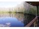 Peaceful lake view with the reflection of trees, enhanced by the covered area and lighting at 20857 Haulover Cv # B15, Lutz, FL 33558