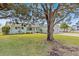 Charming single-story home with a well-manicured lawn and mature tree in the front yard at 3328 Gulfview Dr, Hernando Beach, FL 34607