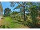Lush backyard with mature trees and green grass, offering a serene and private outdoor space at 8910 Jericho Rd, Weeki Wachee, FL 34613