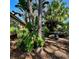 View of the exterior of the house surrounded by lush tropical landscaping at 2806 Grey Oaks Blvd, Tarpon Springs, FL 34688