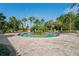 Beautiful community pool featuring sun loungers and surrounded by lush tropical landscaping with palm trees at 3130 Forsythia Dr, Odessa, FL 33556
