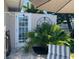 An outdoor shower and charming patio area with a stylish clock and lush tropical plants at 4903 Forecastle Dr, New Port Richey, FL 34652