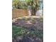 Backyard features a new wooden fence and tropical trees at 506 8Th Ave Sw, Largo, FL 33770