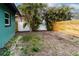 Backyard featuring an unfinished lawn, new fence, and tropical trees at 506 8Th Ave Sw, Largo, FL 33770