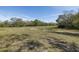 Large, empty lot with trees and natural landscaping, offering a spacious outdoor area at 10407 Audie Brook Dr, Spring Hill, FL 34608