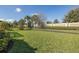 Large backyard featuring lush lawn, secure fencing, and mature trees, offering a serene outdoor environment at 11383 Callisia Dr, Odessa, FL 33556