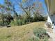 A nice backyard with mature trees and shrubbery line up in the back of the property at 12205 Darwood Dr # 12205, Hudson, FL 34667