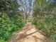 Long driveway lined by trees leading to the house at 14821 Sassandra Dr, Odessa, FL 33556