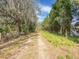 Gravel driveway surrounded by lush landscaping and trees for added privacy at 14821 Sassandra Dr, Odessa, FL 33556
