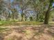 Single-story home nestled among mature trees and a spacious yard at 14821 Sassandra Dr, Odessa, FL 33556