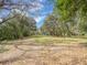 Large parcel of land surrounded by mature trees beneath a beautiful blue sky at 14821 Sassandra Dr, Odessa, FL 33556
