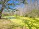 A serene pond, surrounded by lush greenery and mature trees, offers a tranquil retreat at 14821 Sassandra Dr, Odessa, FL 33556