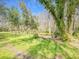 Overgrown banks to a pond surrounded by dense woods and thick underbrush at 14821 Sassandra Dr, Odessa, FL 33556