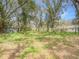 Large grassed lot with trees and outbuildings at 14821 Sassandra Dr, Odessa, FL 33556