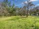 A vast green yard with mature trees, ideal for outdoor activities at 14821 Sassandra Dr, Odessa, FL 33556
