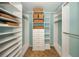 Walk-in closet features custom shelving and storage with blue walls at 1616 Sea Breeze Dr, Tarpon Springs, FL 34689