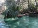 Picturesque view of water, complemented by lush trees at 4544 Cynthia Ln, Spring Hill, FL 34606