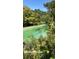 Gorgeous view of Weekie Wachee Springs on a sunny day, framed by lush greenery at 4544 Cynthia Ln, Spring Hill, FL 34606