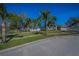 A home with a green front yard, palm trees, and a lake view at 494 Village Dr, Tarpon Springs, FL 34689