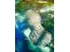 A manatee peacefully swimming in the blue and green waters of a spring at 6183 Waverly Rd, Weeki Wachee, FL 34607